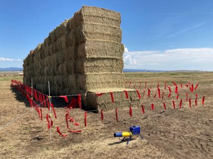 Haystacks protected with fladry and a propane cannon