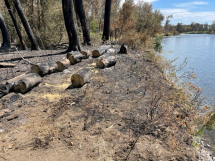 Donald Wapato fire damage along the Yakima River.