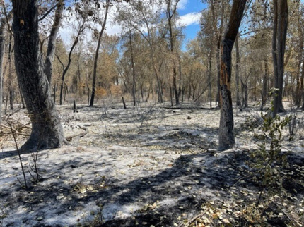 Donald Wapato fire damage.