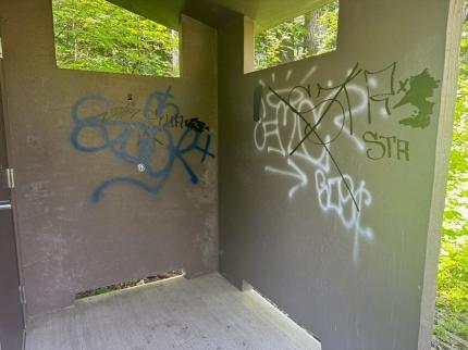 Graffiti at Kinghorn Slough.