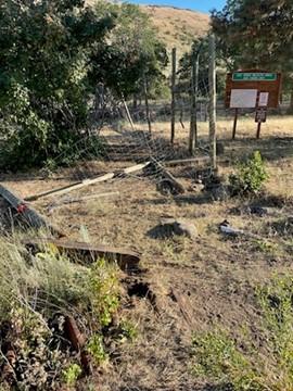 Oak Creek Wildlife Area, Cowiche Unit: A portion of the damaged fence resulting of unauthorized travel down a closed road