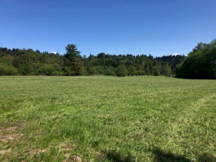 Snoqualmie Wildlife Area