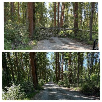 Tree removal before and after Teanaway Junction.