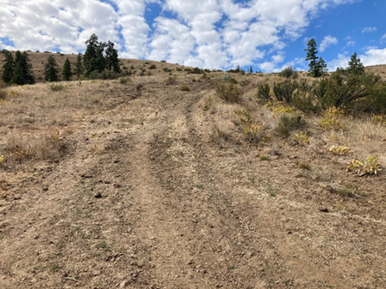 Erosion issues on the Westberg Trail within the Manastash Ridge Trails.