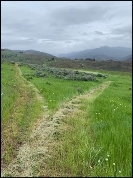 Network of unauthorized trails on the Methow WLA