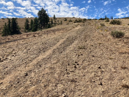 Erosion issues on the Westberg Trail within the Manastash Ridge Trails.