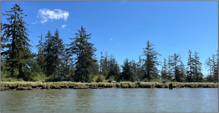 Approaching high tide at the Chehalis Estuary mineral site.