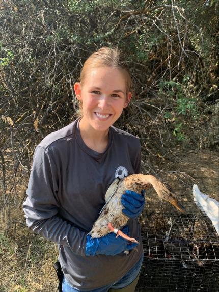 Sunnyside Wildlife Area Assistant Manager Jahns poses with a banded female mallard ready for release
