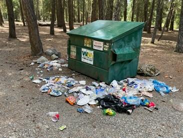 A USFS dumpster at Cle Elum River after a visit by a bear.