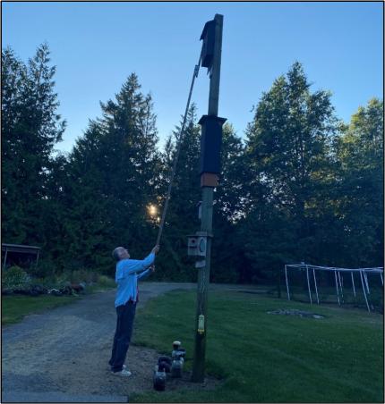 Bats marked with PIT tags as part of a study with US Geological Survey.