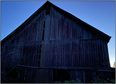 Barn occupied by long-legged myotis in Lewis County.