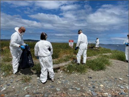 Wildlife personnel cleaning up Rat Island