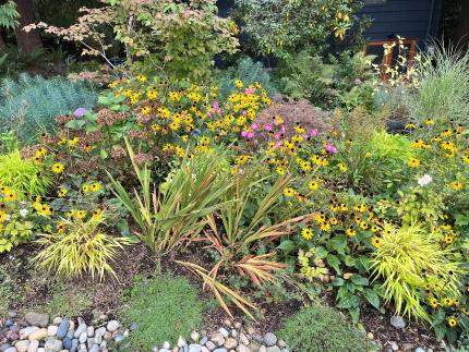 yard with diverse flowers