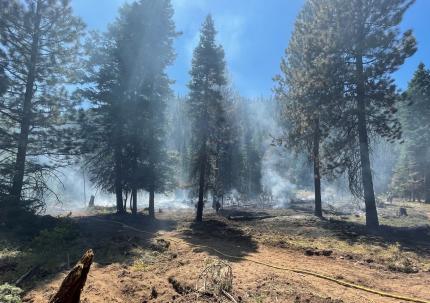 L. T. Murray Unit, one acre of the Hutchins Fire area