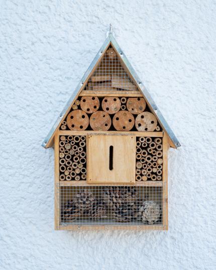 A bee hotel mounted on a wall