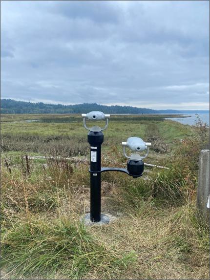 Newly installed wildlife viewer at the Union River Unit of the South Puget Sound Wildlife Area.