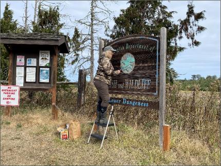 Ament refreshing a sign