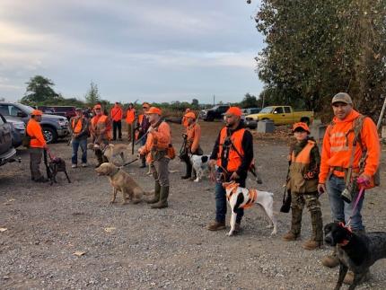 Several hunters with their dogs