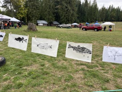 Several fish prints hung by a clothes line