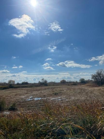 A wetland being flooded