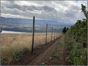 An elk fence around a vineyard
