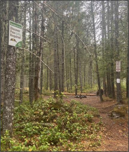 Signage set up in the trees