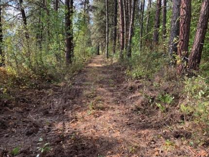 A trail after being cleared