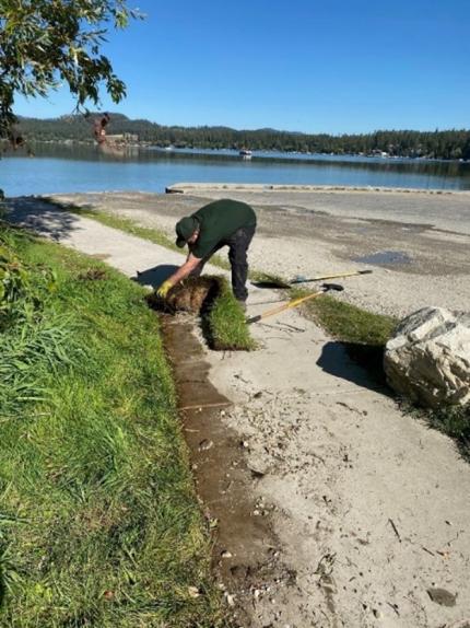 Brant removing overgrowth turf