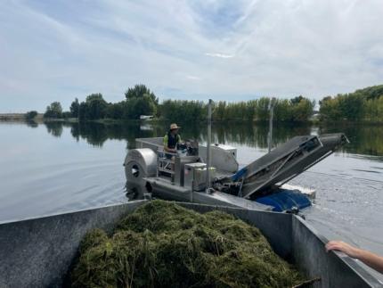 A stargrass harvester