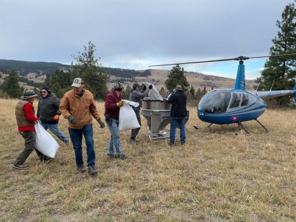 Six volunteers loading bags of grass seed into a helicopter seeder with the helicopter in the background.