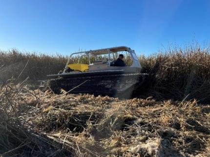 Staff member mowing cattails and bull rush in a wetland. 