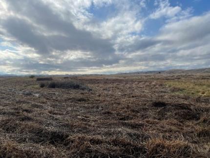 Overlooking a recently mowed wetland. 