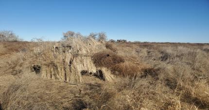 Newly built blind at Cell 1 of Frenchman Regulated Access Area.   