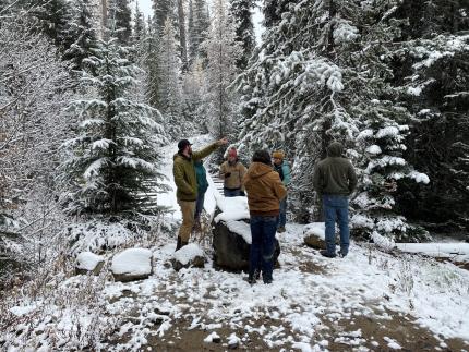 5 people on a road lined with trees with a thin layer of snow on the ground and on the tree branches. ches. 