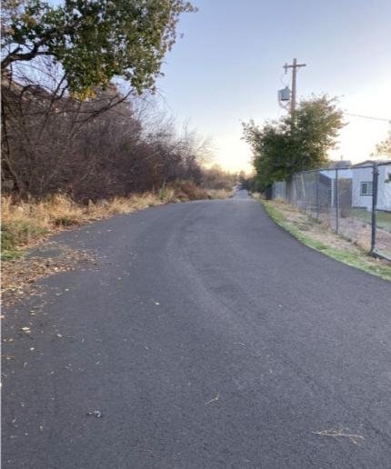 Williams Lake Access Area before weed trim.