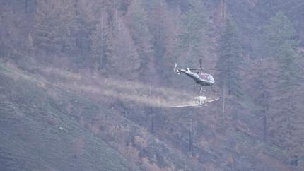 Helicopter seeding on the Ellemeham Mountain Unit. 