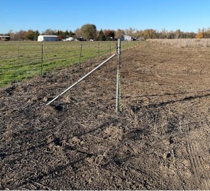 Boundary fence line after all the kochia and Russian thistle was cleared off and away from it. 