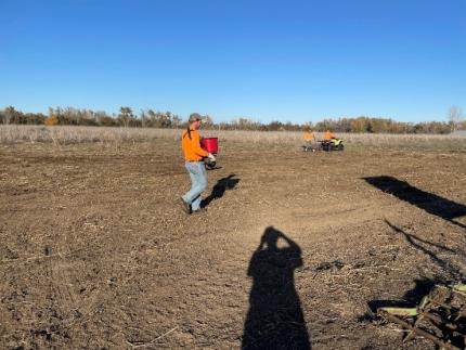 Jensen seeding the Stovall Field with Great Basin wildrye mixed with triticale for a cover crop.    