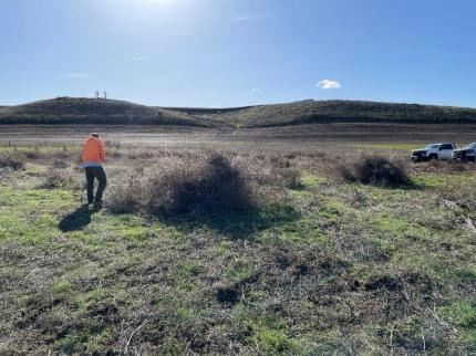 Access Technician Neilsen piling kochia and Russian thistle skeletons to load into the dump trailer. 