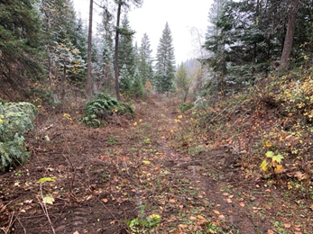 A picture showing the Rustlers Gulch trail without overgrowth. 