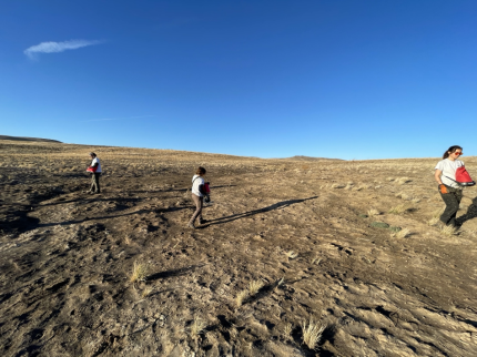 Members of Washington Conservation Corp surface seeding native grass seed.