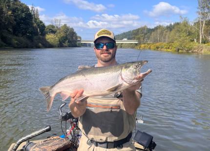 Hatchery coho salmon caught on Snohomish River