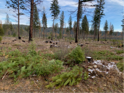 Before and after, LeClerc Creek Wildlife Area.