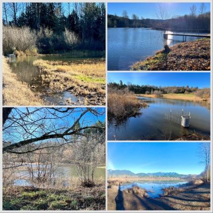 Five photos showing the pond full of water.