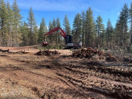 A log processor processing logs