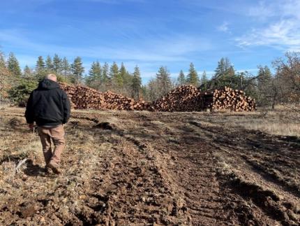 A staff member waking towards processed logs