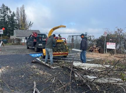 Dead tree removal at Boston Harbor Ramp.