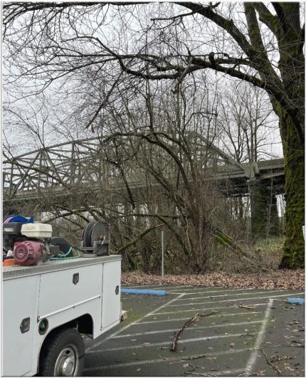 Limb hung up in the branches above parking spot at I-5 access area.