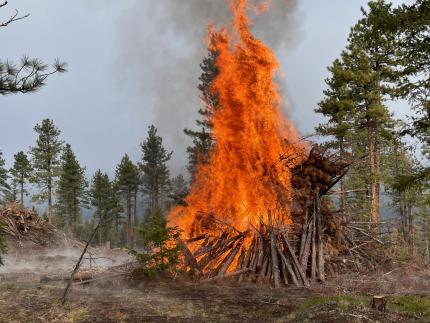 A slash pile being burned