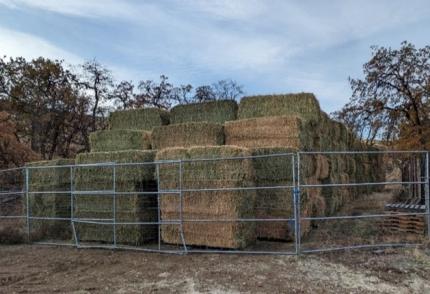 Winter feeding operations begin at the Cowiche Unit of the Oak Creek Wildlife Area.